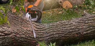 Best Lawn Grading and Leveling  in Edgewood, TX