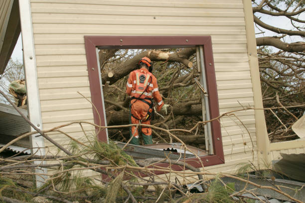 Best Stump Grinding and Removal  in Edgewood, TX